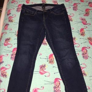 Torrid Jeans